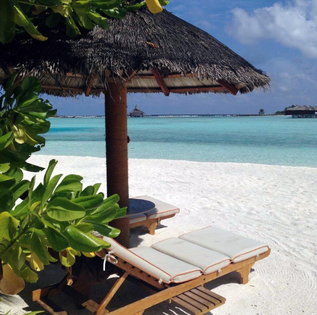 Maldives : La possibilité d’une île